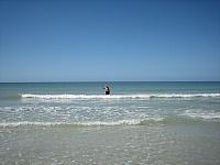  IMG 8086 2-24-2022 Indian Shores