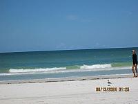 Gulf of Mexico - Indian Shores